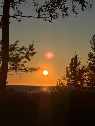 This image captures a sunset over the Baltic Sea from the shoreline in Meremõisa, Estonia. In the foreground, silhouetted trees and vegetation are visible, with a large tree trunk on the left and pine trees on the right. The sun is a bright orange orb low on the horizon, casting a golden sheen across the rippling water. The sky is a gradient of warm oranges and yellows, transitioning to a cooler blue-gray at the top. There are no people or animals depicted in the scene. The overall impression is one of natural beauty and tranquility during the transition from day to night.