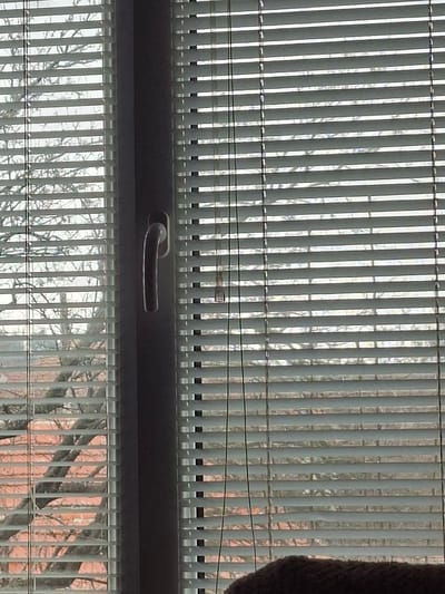 The image displays an interior perspective of a window, situated in the city of Selyanin, Bulgaria, looking outwards during daylight. The window is predominantly covered by light-colored, horizontally slatted blinds, which are mostly closed but angled to permit a view of the exterior. A dark grey vertical window frame bisects the view. A light grey, curved window handle is affixed to the right side of this frame, oriented downwards. Through the gaps in the blinds, bare tree branches are visible across the upper and central portions of the scene, indicating a cold season. Beneath the trees, fragments of orange-ttiled roofs and red brick walls from external structures are discernible. The sky appears bright and overcast. A dark, textured, and indistinct object occupies the immediate foreground at the bottom center of the frame, partially obscuring the lowest blind slats. No individuals are present in the scene.