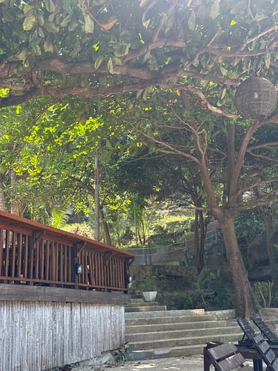 This image captures a vibrant outdoor scene in ตำบล เกาะเต่า, Thailand, showcasing a lush, tropical environment with human-made pathways integrated into the natural landscape.
The scene is dominated by a dense canopy of trees with thick trunks and abundant green foliage, suggesting a rich forest or garden setting. Bright sunlight filters through the leaves, creating dappled patterns of light and shadow across the area. Hanging prominently from a tree branch in the upper left quadrant is a large, spherical lantern, intricately woven from natural fibers such as rattan or wicker, adding a rustic and decorative element.
In the mid-ground and extending towards the right, two distinct descending pathways are visible. One appears to be a series of concrete or stone steps. Adjacent to this, there is a slatted wooden or metal walkway, possibly a ramp or another set of stairs, with a somewhat aged or rusted appearance. This pathway features several small, dark outdoor lights mounted along its side, implying its use during evenings. A simple railing, also made of wood or metal, borders this slatted structure.
Further into the background, partially obscured by the trees, glimpses of stone or concrete structures can be seen, possibly part of a resort building or terrace. In the upper right corner, a wooden bench, suitable for outdoor seating, is partially visible.
No people are present in the image, contributing to a sense of tranquility and quietude. The clear, bright sunshine indicates a pleasant daytime setting. The overall atmosphere evokes a peaceful, natural retreat where man-made amenities blend harmoniously with the tropical surroundings. There is no visible text in the image.