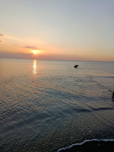This media file captures a serene sunset scene at Jangkar, Indonesia. The vast expanse of the sea is bathed in the warm glow of the setting sun, which peeks from behind soft, wispy clouds on the horizon. The sun's reflection creates a shimmering golden path across the rippling water, enhancing the tranquil atmosphere.
In the middle of the sea, a lone figure is visible, appearing to be wading or engaging in an activity near some submerged objects. The figure is silhouetted against the bright sky, adding a sense of human presence to the natural beauty of the scene. The water in the foreground is darker, with small waves lapping at the shore, creating a gentle foamy edge. The sky transitions from a soft orange and pink near the horizon to a pale blue higher up, indicating the late evening hour. The overall mood is peaceful and contemplative, evoking a sense of calm and natural beauty. There is no visible text in the image.