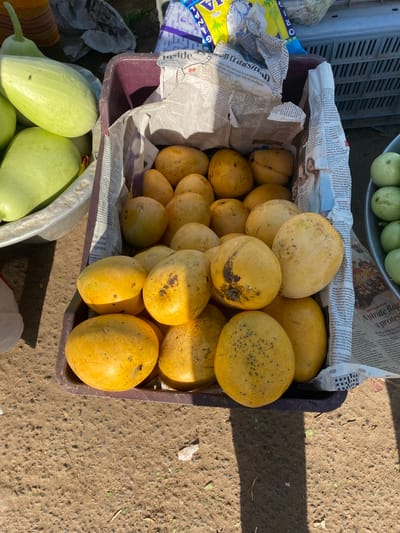 The image shows a close-up view of a market stall in Chinnambedu, India, displaying a variety of fruits. In the foreground, a large plastic container is filled with ripe yellow mangoes. Some of the mangoes are whole, while others appear slightly bruised or have dark spots. The container is lined with crumpled newspaper, some of which is visible with printed text. To the left of the container, several light green, gourd-like fruits are piled in a silver basin. In the background, a grey plastic crate is partially visible, and beyond that, a stack of colorful plastic bags. The ground beneath the stall is a textured, reddish-brown dirt surface. The lighting suggests it is daytime, with shadows indicating the sun is at an angle. There are no people visible in the image, and the scene focuses solely on the produce and market setup.