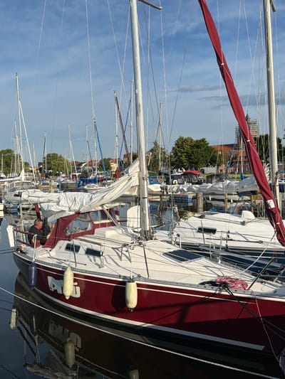 This image captures a marina in Ribnitz-Damgarten, Germany, on a clear day with a partly cloudy sky. The foreground is dominated by a red and white sailboat with its sail furled in a burgundy cover. A man, appearing to be in his 60s with gray hair, is seated on the deck of the boat, facing away from the camera and looking towards the interior. The boat is equipped with several white fenders hanging from its sides, and its reflection is visible in the calm water. In the background, numerous other sailboats are moored, their masts creating a dense forest against the sky. Beyond the marina, buildings with red roofs and green trees are visible, suggesting a town or residential area adjacent to the waterfront. The overall impression is one of a peaceful, organized harbor.