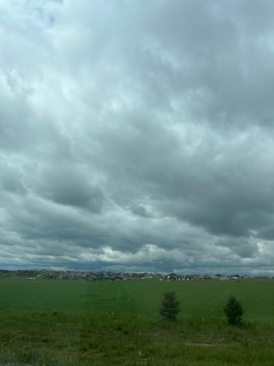 The image depicts a rural or semi-rural landscape under an overcast sky, located in Yus'ki, Russia. The upper two-thirds of the frame are dominated by a dense, grey cloud cover, consistent with stratocumulus or nimbostratus formations, with no direct sunlight visible. A faint lighter patch, possibly indicating thin clouds or a break, is discernible in the upper left quadrant.
Below the horizon, a line of residential structures, appearing as a village or small settlement, extends horizontally across the middle ground. These structures exhibit varying roof colors, primarily dark brown, grey, and some lighter shades, and appear to be single or two-story buildings. A band of darker green foliage and trees is visible on a slight rise behind the houses, indicating a wooded area.
The foreground and immediate mid-ground consist of a large, uniformly green expanse of cultivated field or meadow. Within this green area, two small, dark green coniferous trees stand in isolation: one positioned slightly right of the center and the other further to the right, both occupying the lower third of the image. The extreme bottom edge of the frame reveals a narrow strip of less cultivated, rougher grass and dirt. No individuals, animals, or discernible human activity are present in the visible scene.