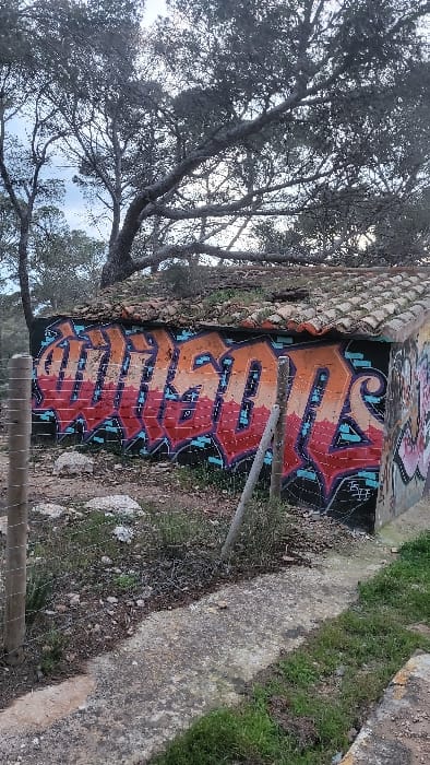 The scene, situated in Santa Ponça, Spain, depicts a small, single-story rectangular building in an overgrown outdoor environment. The building's front wall is dominated by graffiti, rendering the word "CUMBOLS" in stylized orange and red letters with purple outlines and light blue geometric accents on a black background. A partial pink and purple graffiti piece is visible on the right-side wall. The roof is composed of weathered terracotta tiles, partially covered by soil and sparse vegetation. In the foreground, a rudimentary fence constructed from wire strung between thin, weathered wooden posts runs horizontally, partially obscuring the building. The ground immediately surrounding the structure is uneven, consisting of dry soil, scattered rocks, and patches of sparse green and brown vegetation. A concrete path extends across the lower right portion of the image, bordered by grass. The background features several large pine trees with dark, gnarled branches and sparse needle foliage, set against a light, possibly overcast sky. No individuals are present.