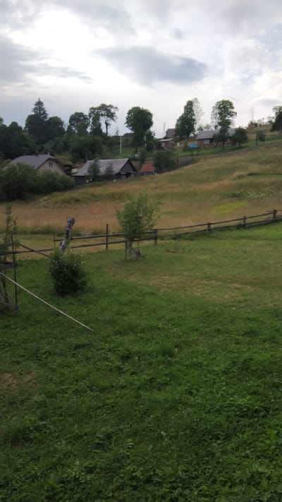 This is a landscape photograph of a rural scene in Nyzhnia Rozhanka, Ukraine. The image depicts a village nestled in a valley with rolling hills in the background. Several houses with traditional architecture are visible, some with dark roofs and wooden accents, indicative of a rural Ukrainian setting. The houses are scattered across the hillside, interspersed with trees.
The foreground is dominated by a lush green meadow, which slopes gently upwards towards a wooden fence. Beyond the fence, the terrain transitions to a field of dry, golden grass, likely a hayfield, with scattered white wildflowers. A small, young tree is planted near the fence, suggesting a recently cultivated area. Further back, a larger, mature tree stands out in the middle ground.
In the distance, more trees and houses are visible, leading up to the crest of the hills. The sky is overcast with dramatic, grey clouds, suggesting either early morning or late evening, or a cloudy day. The overall atmosphere is peaceful and serene, capturing the quiet beauty of the Ukrainian countryside. There is no visible text in the image.