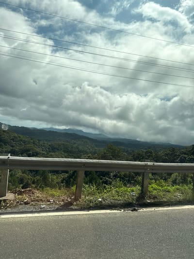 The image depicts a scenic view of a lush green mountain range under a cloudy sky, seen from the side of a road. A silver guardrail runs horizontally across the foreground, separating the road from the elevated terrain beyond. The road itself is paved, with a white line marking its edge. The mountains are densely covered with trees, creating a textured, verdant landscape that stretches into the distance, with some peaks partially obscured by clouds. Several power lines are visible against the sky. The scene appears to be located in a rural or mountainous area, possibly on a road passing through a forest. The specific location in Da Lat, Vietnam, is not explicitly indicated by any visual cues in the image itself.