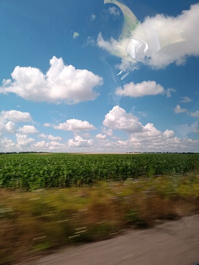 This is a photograph taken from a vehicle, likely a car, traveling on a road adjacent to a large agricultural field. The field is filled with rows of green crops, possibly corn, stretching towards the horizon. The sky above is a vibrant blue, dotted with fluffy white cumulus clouds. There are reflections visible on the surface of the image, suggesting it was taken through a window, potentially with the interior of the vehicle or its occupants reflected in the glass. In the distance, a line of trees marks the edge of the field, and beyond that, a band of lighter-colored land suggests a change in vegetation or soil. The foreground shows a blurred effect, indicating motion, with hints of a dirt or gravel road surface and vegetation. The image captures a rural landscape under a bright, sunny sky. The location is identified as Kolisnyky, Ukraine.