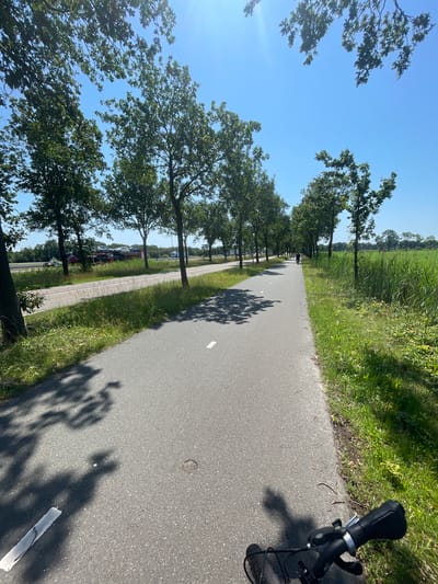 The image depicts a paved bike path lined with mature trees on the left and a grassy field on the right. The sun is shining brightly, casting long shadows from the trees onto the path, suggesting it is late morning or early afternoon. The sky is clear and blue. In the distance, a cyclist is visible on the path, and a row of parked cars can be seen beyond the trees. The overall scene is one of a peaceful, sunny day in a rural or suburban setting, likely in the Netherlands, given the location context. The presence of the bike path and the cyclist indicates the activity of cycling. The image captures the tranquil atmosphere of the location. There is no visible text in the image.