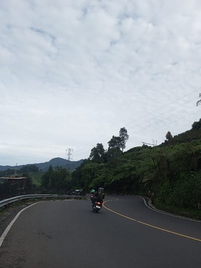 A winding asphalt road curves through a lush, green hillside. A motorcycle with two riders travels along the road's right side, guided by a yellow dividing line. The landscape is dominated by dense trees, ferns, and rolling hills extending into the distance. Above, a pale sky is filled with overcast clouds. An electrical tower rises amidst the greenery, and power lines stretch across the scene. A metal guardrail lines the road's edge on the left.