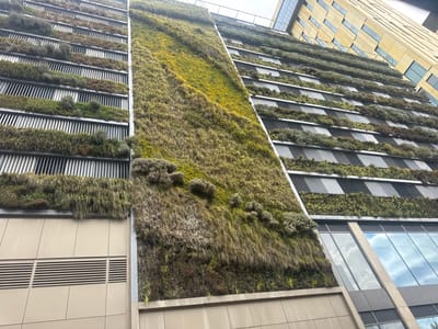 The image shows a multi-story building in Woking, United Kingdom, featuring a living wall. The wall is composed of various green plants and vegetation, arranged in horizontal layers and a vertical strip, covering portions of the building's facade. The building also has sections with windows and metal ventilation slats. The overall impression is one of biophilic design, integrating nature into the urban environment.