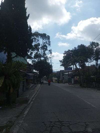 The image displays a paved street scene in the city of Naung Bo Oe, Myanmar, under a partly cloudy sky. The asphalt road, exhibiting minor surface cracks in the foreground and on the adjacent concrete sidewalk, extends straight into the distance with a slight rightward bend.

On the left side of the street, a tall, dark coniferous tree dominates the foreground, with dense green foliage, including a large fern, at its base. Behind this vegetation, parts of a building with a light blue upper wall and a pitched roof are visible. Further along the left side, a series of modest residential or commercial structures are present.

On the right side of the road, several deciduous trees with full green canopies line the street. A prominent blue rectangular sign, bearing the text "SETIA HOTEL" in white letters, is mounted on a pole above a building. Below this, a yellow sign with red text is partially discernible. Overhead, utility lines are visible against the sky.

A single individual, wearing a red top or jacket, is observed riding a scooter (motorcycle) in the center of the road, traveling away from the viewer. The sky features scattered white cumulus clouds against a bright blue background, indicating daylight conditions.
