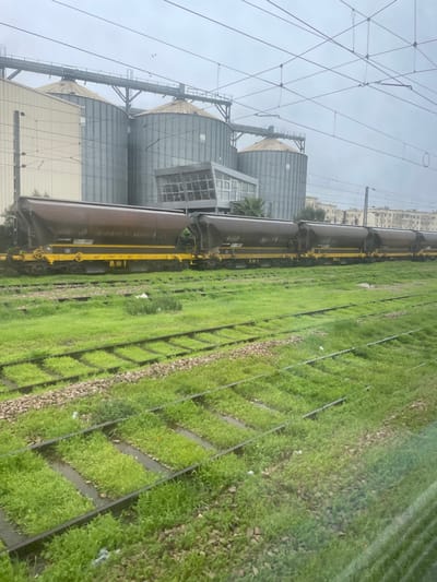 A long train, possibly carrying grain, passes by tall silos. The train cars are dark with yellow undercarriages. Tracks run alongside the train, separated by strips of grass and gravel. Buildings are visible in the distance under a cloudy sky. The image is taken at an unusual angle.
