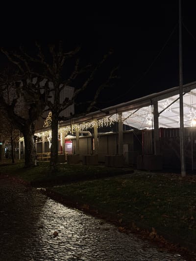 The image depicts an outdoor scene at night, illuminated by artificial lights. In the foreground, a large deciduous tree with gnarled, bare branches occupies the left side, suggesting a winter setting. String lights are draped along some of its branches and extend towards a building on the right.
The central subject is a modern-looking building featuring a prominent transparent or translucent roof structure. Beneath this roof, several star-shaped decorative lights are visible, casting a glow. Additional string lights hang in cascades from the building's facade, contributing to a festive ambiance. Parts of the building show structural elements, possibly balconies or utilities. A small red sign with unreadable white text is present on the lower part of the building.
On the ground, a strip of dark grass borders a paved area, likely a pathway or square, constructed from cobblestones or a similar textured material. A patch of the paved ground is brightly illuminated, reflecting light from an unseen source, suggesting a damp or reflective surface.
The time of day is clearly night, with the sky appearing completely dark. The scene conveys a sense of quietude, with no people or specific activities visible. The presence of decorative lights suggests a festive or holiday period. Given the context, the location is Carouge, Switzerland.