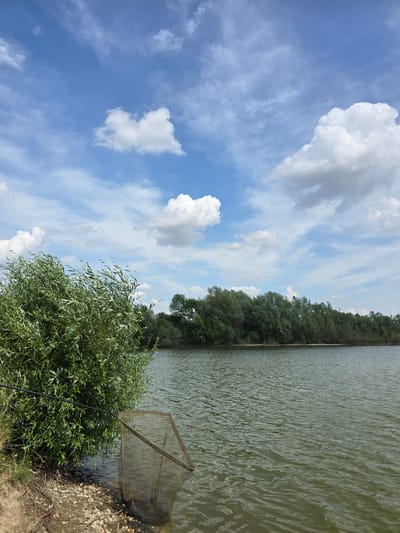 The image depicts a tranquil scene on a body of water, likely a lake or a large pond, with a dense line of trees forming the backdrop on the far bank. The water's surface is calm, with gentle ripples creating a textured pattern. In the foreground, on the left side of the frame, a large, leafy green bush or small tree grows right up to the water's edge, its branches sweeping downwards towards the water. Partially submerged in the water near the bank is a fishing net, its mesh visible. The shoreline itself is composed of sand, small pebbles, and some exposed roots. The sky above is a vibrant blue, punctuated by fluffy white cumulus clouds and thinner, wispy cirrus clouds, suggesting fair weather. The scene is located in Krčmaň, Czechia.