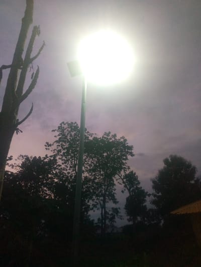 In Madakiya, Nigeria, a streetlamp illuminates a twilight scene against a dusky sky. Silhouetted trees and branches form a dark canopy against the soft purple and grey hues of the sky. The tall, slender form of a dead tree with its branches reaching upwards, is on the left side of the image. To the right, a modern streetlamp with a square panel emits a bright, white light, casting a glow that washes out a portion of the sky and the surrounding foliage. A building with a corrugated roof is partially visible in the lower right corner, its details obscured by shadow. The overall impression is one of a quiet, nocturnal environment.