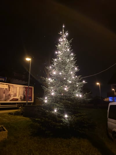 A Christmas tree, illuminated with white lights, stands near a street lamp on a dark night. It's positioned on a grassy area next to a sidewalk. A billboard with an advertisement for interior design is visible nearby. Part of a white van is visible in the upper right corner. The scene is captured with a slight rotational tilt.