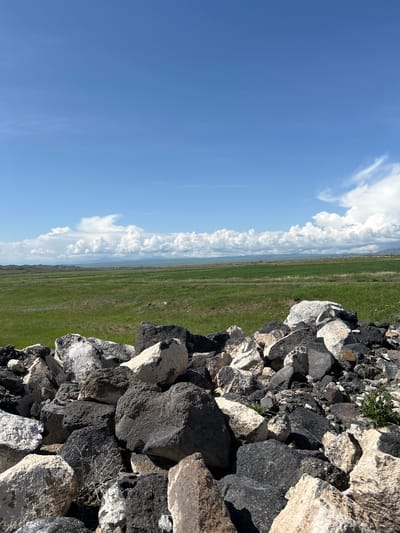 The image depicts a rural landscape, likely in or near Aniavan, Armenia. The scene includes a clear blue sky with scattered cumulus clouds dominating the left portion of the image. A green field extends horizontally from the center towards the top. A heap of rocks, predominantly gray and black, occupies the right side. Some small plants or vegetation are visible growing amongst the rocks. The perspective is likely taken from ground level.