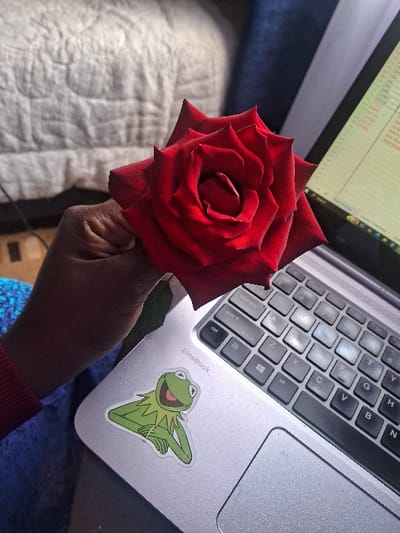 A close-up, top-down view captures a person's dark-skinned hand holding a single, fully bloomed red rose. The rose is centered in the upper left quadrant of the image. The hand holds the rose by its green stem. Below the rose and hand, a silver HP EliteBook laptop is open, occupying the lower right portion of the frame. A Kermit the Frog sticker is affixed to the laptop's palm rest, below the "EliteBook" branding. The laptop's dark grey keyboard and trackpad are visible. The screen, visible on the far right, displays what appears to be a spreadsheet with a grid of cells containing text. The person wears a red long-sleeved garment, with a blue patterned fabric visible beneath their arm, possibly a blanket or another piece of clothing. In the background to the upper left, a white, textured, quilted fabric (likely a bedspread or blanket) is visible. A dark blue object or fabric is partially visible in the upper right background. The scene is an indoor setting in Muthambi ward, Kenya.