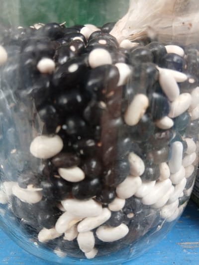 This media file shows a close-up view of a pile of black and white beans contained within a clear plastic bag. The beans are densely packed, with the black beans forming the bulk of the visible mass, interspersed with numerous white beans. The lighting is diffuse, suggesting an indoor setting. The beans are the primary subject, and the focus is on their texture and color contrast. There are no discernible people, specific activities, or emotional cues. The background is out of focus, but hints of a blue surface and some green suggest a utilitarian or storage environment, possibly in Kholosne, Ukraine, as per the location context. No text is visible in the image.