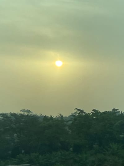 A hazy, pale sky dominates the view, obscuring the sun into a soft, circular glow. To the right, a dense, dark green mass suggests a heavily vegetated area, perhaps a forest or a hillside covered in trees. The overall atmosphere is muted, conveying a sense of stillness or even environmental concern due to the hazy conditions. The angle is slightly upward.