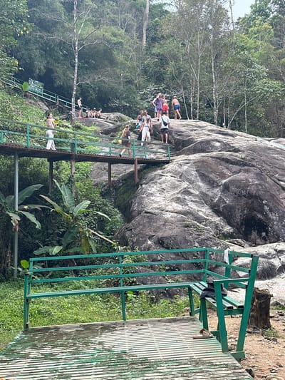 A lush, vibrant outdoor scene features a rocky formation adjacent to a series of green metal railings and a wooden walkway. A group of people stand atop the rocks and walk along a pathway extending from the side. Dense foliage surrounds the scene, with trees and banana plants adding depth and a tropical feel. The shot captures a natural setting popular for outdoor activities, likely near a waterfall or natural pool.