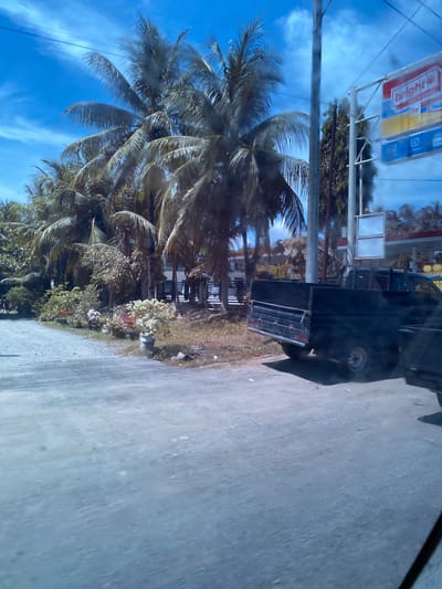 The image captures a street scene in Padangrubek, Indonesia, under a bright blue sky with scattered white clouds. On the right side of the frame, a dark-colored pickup truck is parked on a gravel road. The truck has a flatbed with visible metal railings. Behind the truck, a pole supports a sign that displays the "Bright" logo in red and white, with additional text and yellow and blue sections below. Further in the background, a gas station structure with a red roof is visible, along with several palm trees. The left side of the image shows more palm trees and foliage. A few potted plants with white and pink flowers are also present near the road. The overall environment suggests a tropical or subtropical climate.