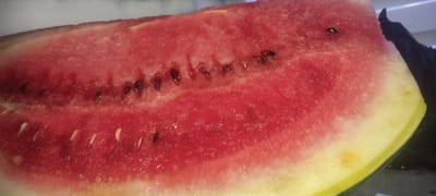 The image shows a close-up of a slice of watermelon. The watermelon flesh is a vibrant red, with visible seeds scattered throughout. The rind is visible on the right side of the image, transitioning from a pale yellow to a green outer layer. There is a dark, amorphous object partially obscuring the rind on the far right. The texture of the watermelon flesh appears moist and slightly granular. The lighting suggests an indoor setting, possibly a kitchen. The image does not contain any elements that would suggest a specific location within Shaydon Town, Tajikistan.