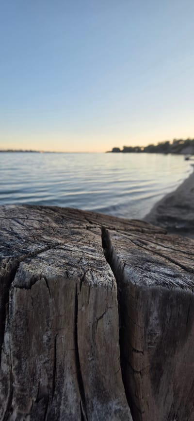 The image shows a close-up of a weathered wooden stump in the foreground, with a body of water and a distant shoreline in the background. The stump is rough and cracked, showing the grain of the wood. The water is calm with gentle ripples, reflecting the clear blue sky. The shoreline is lined with trees and appears to be a natural landscape. The lighting suggests it might be sunrise or sunset, with a soft glow on the horizon. The scene is peaceful and natural. The location is specified as Issyk-Kul, Kyrgyzstan. There are no people or specific actions depicted.