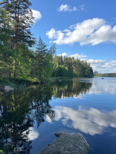 The image depicts a serene natural landscape featuring a tranquil lake surrounded by a dense forest under a partly cloudy blue sky. On the left side of the frame, a lush green forest with tall pine trees and leafy deciduous trees lines the shore. The trees are reflected in the calm, dark water of the lake. Several large rocks are visible along the shoreline and in the water. The right side of the lake extends into the distance, with a continuous line of trees forming the horizon. The sky is a vibrant blue, dotted with fluffy white clouds that are also reflected in the water, creating a mirror-like effect. The scene suggests a peaceful, untouched natural environment. This image does not depict the city of Berezovo, Russia.