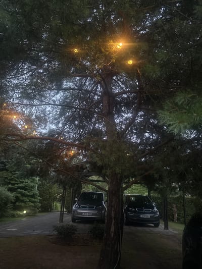 The image depicts a dark outdoor scene in Lapės, Lithuania, dominated by a large evergreen tree. String lights are draped across the tree's branches, emitting a warm yellow glow. Beneath the tree, a paved driveway is visible, with two cars parked. The car on the left is a silver BMW i3 with license plate LKS 555. The car on the right is a dark BMW i3 with license plate EB 1093. The surrounding area is overgrown with greenery, including bushes and more evergreen trees. The sky is overcast, contributing to the overall dim lighting of the scene.