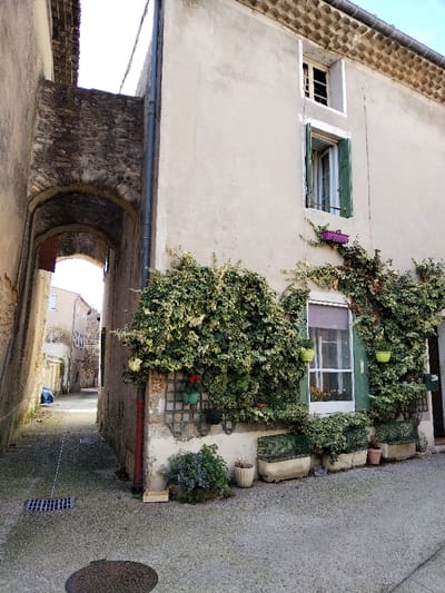 A narrow, sunlit alleyway is framed by old stone buildings. An arched passageway extends into the distance, revealing glimpses of additional structures. The building on the right is partly covered in vibrant ivy, and two windows, one with open green shutters, are visible. Potted plants adorn the base of the building along the street. The cobblestone street features a circular manhole cover and a drain.