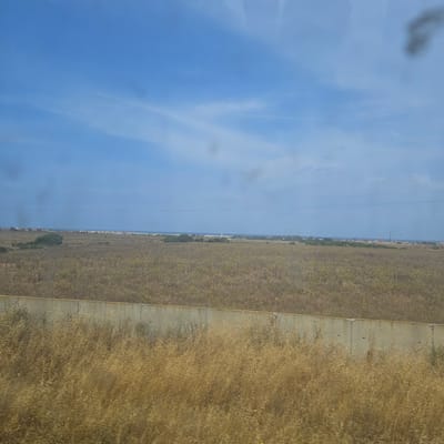 The image shows a field of dry vegetation in El Mansouria, Morocco, next to a concrete drainage channel. In the distance, a line of buildings separates the field from a sky with light blue clouds. Electrical lines stretch across the sky. The field is primarily brown and yellow with sparse green patches.