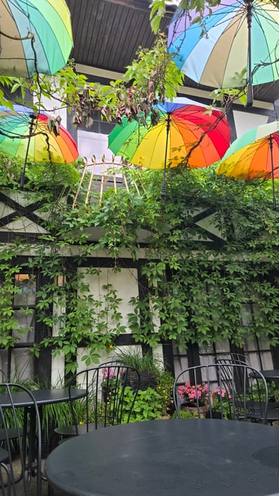 This is a vertical, medium-shot, eye-level photograph of an outdoor seating area of a restaurant or cafe, possibly located in Łagów, Poland. The scene is dominated by lush green ivy climbing over a white building with black timber-framed accents. Above the ivy, several brightly colored rainbow umbrellas are suspended from branches, adding a festive atmosphere. In the foreground, two black metal tables with chairs are visible, one in focus and the other blurred. The tables are round and dark. The background shows windows of the building, partially obscured by the ivy and umbrellas. A small garden area with potted plants, including pink flowers, is situated behind the tables. There are no people visible in the frame. The lighting suggests an overcast day.