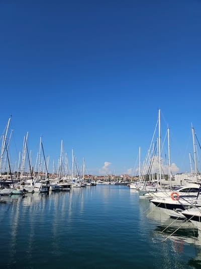 This image captures a serene view of a marina filled with numerous sailboats docked under a clear blue sky. The boats, primarily white with tall masts, are lined up neatly in the calm, blue water, their reflections shimmering on the surface. In the background, a picturesque town with colorful buildings and some trees can be seen, adding a touch of charm to the scene. The marina is located in Jagodje, Slovenia, a coastal town known for its beautiful waterfront. The overall atmosphere is tranquil and idyllic, suggesting a peaceful day at the harbor.