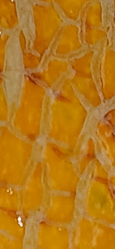 This image is a close-up, abstract view of what appears to be a cracked or textured surface. The dominant colors are shades of yellow and orange, interspersed with lighter, off-white lines that form an irregular network. These lines suggest a cracking pattern, like those seen on dried mud, aged paint, or the rind of certain fruits.
The texture is rough and uneven, with small darker speckles or imperfections visible within the yellow and orange areas. Some of these areas are brighter and more uniformly colored, while others show variations in tone and hints of reddish-brown. The lighter lines are somewhat fuzzy and not sharply defined.
There are no people, animals, or clear objects visible. The scene is entirely abstract, focusing on the surface pattern and color. There are no discernible environmental cues such as time of day, weather, or location. No text is visible in the image. The close-up nature of the shot, combined with the abstract pattern, makes it difficult to determine the specific object or material being depicted without further context.