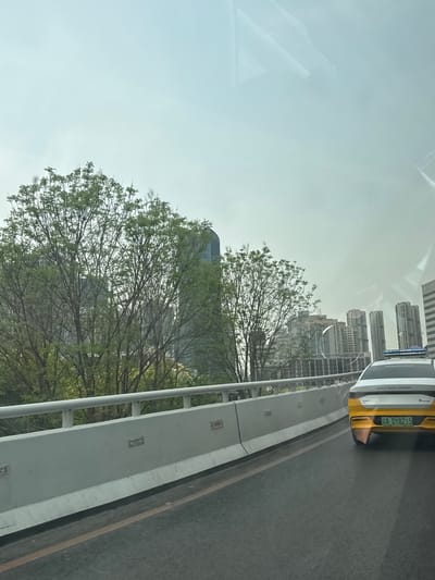 The image shows a street scene in Shenhe District, China, taken from a vehicle. Skyscrapers are visible in the background, partially obscured by trees. A white and yellow car is partially visible in the upper right of the frame with the license plate "辽A DY82JS". A grey concrete barrier runs along the right side of the frame, separating the road from the roadside. The sky is overcast.