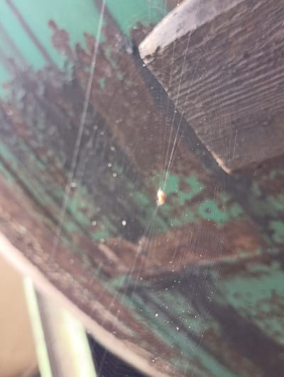 In the city of Раснянскі сельскі Савет, Belarus, an extreme close-up shot captures a spiderweb. The web is delicately suspended, with a tiny spider, exhibiting an orange and white coloration, positioned near its center. The background is a textured, weathered surface, likely corrugated metal, painted a faded green with areas of rust. A wooden structure, possibly part of a roof or overhang, is visible in the upper right corner of the frame, casting a shadow across the scene. The lighting suggests an outdoor environment, possibly under a sheltered area like an eave or porch.