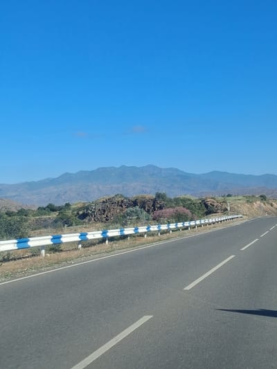 A roadside view of a highway in Armenia under a clear blue sky. A paved road with white dashed lines stretches into the distance, bordered by a guardrail with alternating white and blue sections. Beyond the guardrail, the landscape transitions to rocky, arid terrain with sparse vegetation and some flowering shrubs. In the background, a range of hazy blue mountains forms the horizon. The scene suggests a rural or mountainous region.