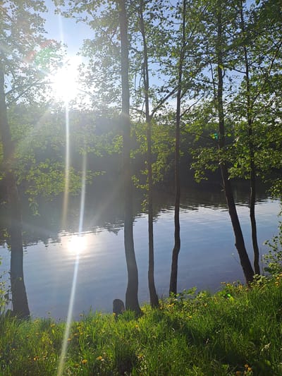 The image shows a body of water, possibly a lake or pond, reflecting the sky and sunlight. The sun is very bright, creating a lens flare effect. Trees line the edge of the water, with their branches and leaves visible. Some grass and dandelions are also visible on the shoreline. The location is stated as Меткомелино, Russia. There are no people visible in the image. The scene appears to be a natural, outdoor setting with water, trees, and vegetation.