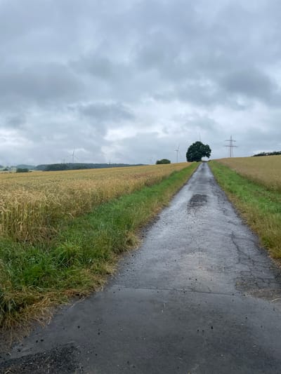 The image depicts a rural scene in Ottrau, Germany, under an overcast, cloudy sky. A wet, paved road stretches into the distance, flanked by fields of dry, golden grain on either side. Lush green grass grows along the edge of the road. In the background, several wind turbines are visible, along with power lines supported by tall pylons, indicating a developed landscape integrated with renewable energy infrastructure. A solitary, full-foliaged tree stands prominently on a slight rise where the road ascends. The ground appears to have been recently rained upon, causing the road surface to be slick and reflective. There are no people or animals visible in the image.