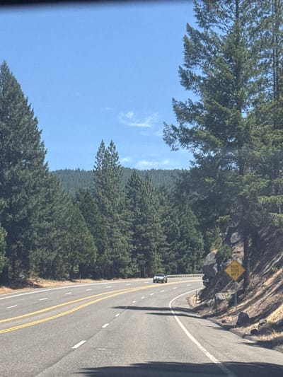 The image shows a view from a car driving on a two-lane road in Pollock Pines, United States. The road curves to the right, bordered by a steep, rocky embankment on the right side and a dense forest of pine trees on the left. A yellow diamond-shaped sign with black lettering reading "ROCK SLIDE AREA" is posted on the right side of the road. A silver car is visible in the distance on the left lane. The sky is clear blue with a few wispy clouds. The sun is shining, casting shadows on the road and the embankment. The environment appears to be a mountainous or hilly region with a natural landscape.