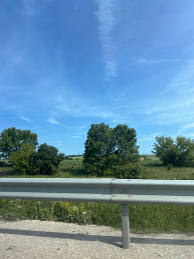 The image displays a bright, sunny daytime scene of a rural or semi-rural landscape, seen from a perspective that suggests it was captured from a moving vehicle. The primary orientation of the image is vertical, with the horizon running horizontally through the middle, but it appears to have been taken with the camera rotated, showing the landscape as if viewed from a side window.
In the foreground, a silver metal guardrail dominates the right side of the frame, running from the bottom to the top. Its sturdy, corrugated design is visible, indicating a protective barrier along a road or highway. To the immediate right of the guardrail, a concrete road shoulder or pavement is partially visible.
Beyond the guardrail, a vibrant green grassy area stretches out, interspersed with smaller plants and possibly wildflowers. Several mature, leafy green trees are scattered across the midground, their dark canopies contrasting with the brighter green fields. These trees appear to be part of a natural boundary or a small wood line. In the distance, hints of more rolling terrain and vegetation can be seen under the expansive sky.
The upper-left portion of the image is filled with a clear, deep blue sky, featuring delicate, wispy white clouds (likely cirrus clouds or contrails) stretching across it. The overall weather appears fair and bright. The scene suggests a tranquil journey through the countryside, specifically within the Kumanovo region of Bulgaria, based on the provided context. There are no discernible human activities, people, or visible text in the image.