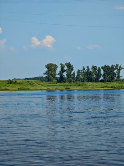 This is a vertical, eye-level, full shot photograph taken on a clear, sunny day. In the foreground, a calm body of water fills the lower half of the frame, with subtle ripples and reflections of the sky and trees. The middle ground features a lush, green grassy embankment lined with a dense row of trees, predominantly deciduous with full foliage. The trees on the right are taller and more spread out, while those on the left form a more uniform line. A faint, winding path is visible on the grassy slope. The background is a bright blue sky with a few scattered white clouds. Thin, dark power lines are visible horizontally across the upper portion of the sky. The scene is likely a natural landscape near Verkhnepashino, Russia, possibly a riverbank or lakeside. There are no people or animals visible in the frame.
