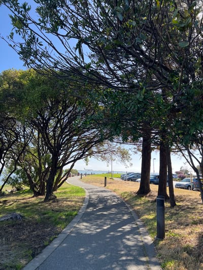 The image shows a paved walkway curving through a park area with trees and grass. In the background, there is a body of water, a parking lot with cars, and an airplane in the sky. The scene is well-lit with sunlight casting shadows from the trees onto the walkway. The location is likely Burlingame, California, given the presence of the San Francisco Bay and the proximity to San Francisco International Airport.