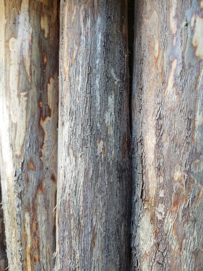 The image is a close-up, vertical view of several rough, weathered wooden posts. The wood exhibits a natural, uneven texture with visible grain, cracks, and peeling bark. The colors are predominantly muted browns, grays, and off-whites, with some streaks of reddish-brown. Light and shadow play across the surfaces, highlighting the textures and creating depth. The image does not provide any information or context about the city of Shpychyntsi, Ukraine, or any specific people, actions, or interactions.
