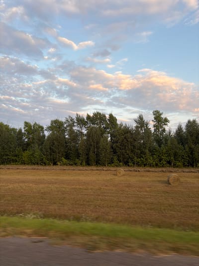 The image captures a rural landscape, likely in Oktyabr', Russia, during the golden hour or sunset. The sky is a soft blend of blue, white, and pink, with scattered clouds catching the warm light. Below the sky, a dense line of trees forms a dark green horizon. In the foreground, a harvested field of dry, golden grass stretches across the frame. Two round hay bales are visible in the field. The bottom of the image shows a blurred foreground, suggesting the photo was taken from a moving vehicle, with a patch of green vegetation and a dark, textured surface that appears to be a road.