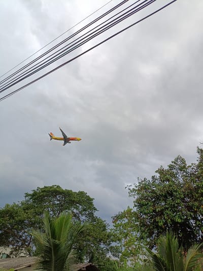 An airplane with orange and yellow coloring is captured in mid-flight against a cloudy sky. The aircraft appears to be a commercial jet, with its landing gear down, suggesting it is approaching or departing an airport. Power lines are visible in the upper portion of the frame, crisscrossing diagonally. Below the airplane and power lines, lush green foliage of trees and palm fronds dominates the lower part of the image, with glimpses of rooftops. The overall scene suggests an outdoor, possibly suburban or semi-rural, environment in or near Ban Patan, Thailand.