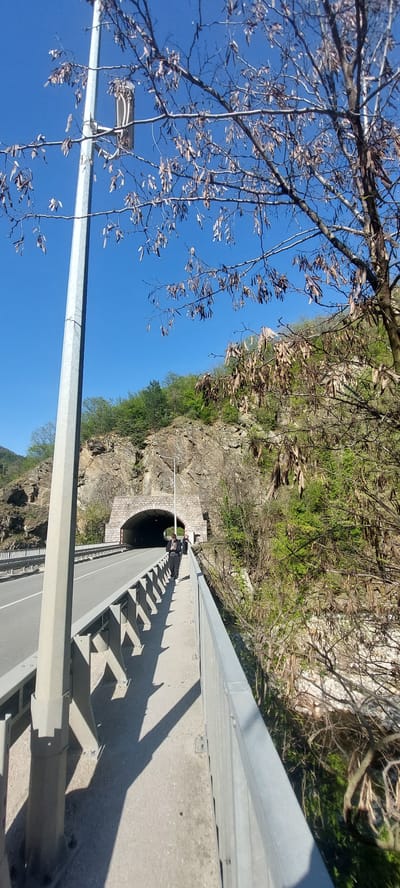The image shows a view from a bridge near Бачковски манастир, Bulgaria. The bridge spans a ravine or gorge, with rocky cliffs and vegetation visible on either side. A road tunnel is visible in the cliff face near the bridge. Two people are standing on the bridge near the tunnel entrance. The bridge has gray guardrails. In the foreground, there's a light pole and tree branches with leaves against a blue sky. The photo appears to have been taken from a low angle or while tilting the camera upwards.