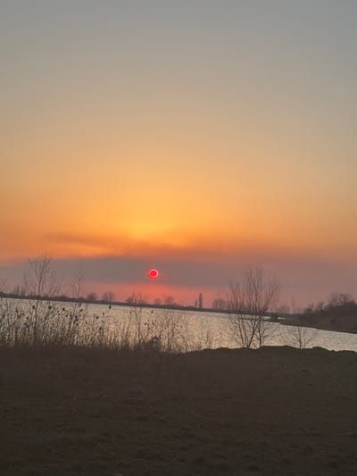 The scene is a landscape photograph captured in the city of Utash, Russia, depicting a sunset. The upper two-thirds of the frame are occupied by a sky gradient, transitioning from light blue-grey at the zenith to vibrant orange and yellow, with a horizontal band of deep reddish-orange directly above the horizon. A prominent, spherical, intensely red celestial body, consistent with the sun viewed through atmospheric haze, is positioned slightly left of the image's vertical center, approximately one-third of the way down from the top. Below the sky, a calm body of water extends horizontally across the mid-ground, its surface displaying a subdued, silvery reflection of the ambient light. The foreground consists of dark, undulating earth covered in sparse, muted green and brown vegetation, consistent with grass and dry weeds. Along the near bank of the water and on the foreground terrain, numerous deciduous trees and shrubs stand bare, their intricate, skeletal branches silhouetted against the brighter background. Denser clusters of dry, reed-like vegetation are present along the immediate water's edge on the left side of the frame. No human figures, animals, or distinct man-made structures are discernible within the frame. The lighting conditions indicate either sunrise or sunset.