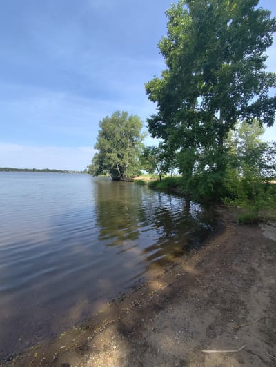 A serene natural landscape unfolds under a clear blue sky with sparse wispy clouds. The scene is dominated by a wide, calm body of water, likely a river or lake, reflecting the sky and surrounding trees. Gentle ripples disturb the water's surface, indicating a slight breeze.
On the right bank of the water, a sandy and earthy shore meets a dense cluster of lush green trees. The foliage is vibrant, suggesting it is summertime. Prominent among these trees is a large, mature tree with a thick trunk and a sprawling canopy, its leaves catching the sunlight. Further in the distance, across the water, a line of trees and what appear to be small buildings or houses can be seen on the horizon, hinting at a rural or semi-rural setting.
The time of day appears to be late morning or early afternoon, given the bright, direct sunlight and the shadows cast. The overall mood is peaceful and tranquil, evoking a sense of calm and natural beauty. The image captures a typical summer day in a natural setting, likely in or near Райков, Russia, as suggested by the context. There is no visible text in the image.